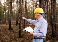 fire protection engineering degree professional surveys forest