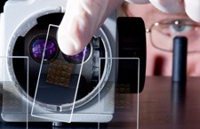 molecular engineering degree professional studying dna